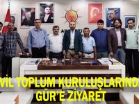 Sivil toplum kuruluşlarından Gür'e ziyaret