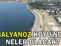 Balyanoz Koyu'nda neler olacak?