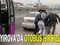 Çayırova'da otobüs hırsızları