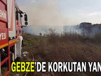 Gebze'de korkutan yangın!