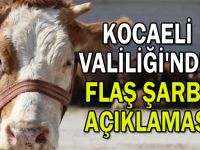 Kocaeli Valiliği'nden flaş şarbon açıklaması