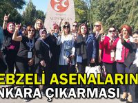 Gebzeli Asenaların Ankara çıkarması