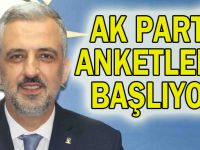 AK Parti anketlere başlıyor