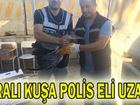 Yaralı kuşa polis eli uzandı