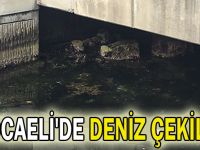 Kocaeli'de deniz çekildi