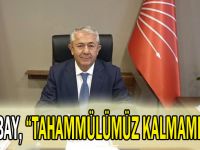 Sarıbay, “Tahammülümüz kalmamıştır”