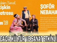 Darıca'da kültür ve sanat etkinlikleri