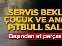 Servis bekleyen çocuk ve annesine pitbull saldırısı!