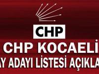 İşte CHP'nin başkan aday adayları