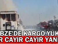 Gebze'de kargo yüklü tır cayır cayır yandı!