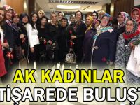 AK Kadınlar istişarede buluştu!