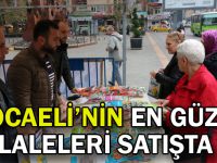 Kocaeli’nin en güzel laleleri satışta