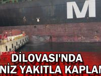 Dilovası'nda deniz yakıtla kaplandı