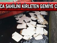 Darıca Sahilini Kirleten Gemiye Ceza!