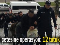 Kredi çetesine operasyon: 12 tutuklama