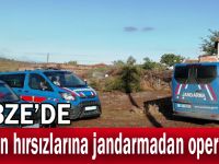 Gebze'de hayvan hırsızlarına jandarmadan operasyon