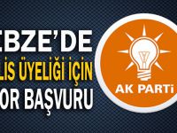 Gebze Belediye Meclis üyeliği için aday adayı olan isimler