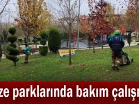 Gebze parklarında bakım çalışması
