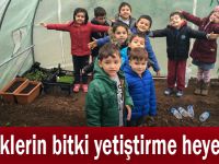 Miniklerin bitki yetiştirme heyecanı