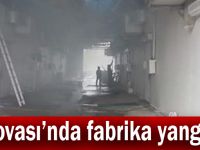 Dilovası'nda fabrika yangını!