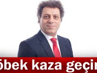 Höbek kaza geçirdi