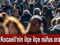 İşte Kocaeli'nin ilçe ilçe nüfus oranları