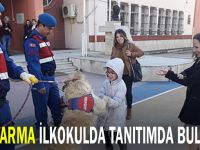 Jandarma ilkokulda tanıtımda bulundu