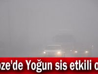 Gebze'de Yoğun sis etkili oldu