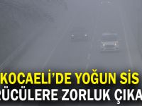 Kocaeli'de Yoğun sis sürücülere zorluk çıkardı