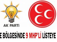 Gebze bölgesinden 9 MHP'li listede yer aldı