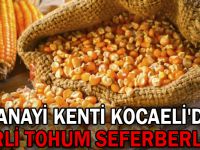 Sanayi kenti Kocaeli'de Yerli Tohum seferberliği!