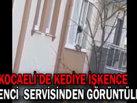 Kocaeli’de kediye işkence öğrenci servisinden görüntülendi!