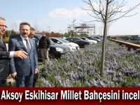 Vali Aksoy Eskihisar Millet Bahçesini inceledi