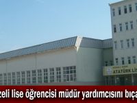 Gebzeli lise öğrencisi müdür yardımcısını bıçakladı