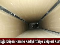 Boşluğa Düşen Hamile Kediyi İtfaiye Ekipleri Kurtardı