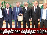 Büyükgöz'den doğalgaz müjdesi