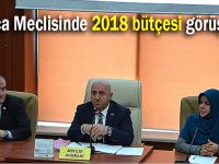 Darıca Meclisinde 2018 bütçesi görüşüldü