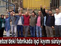 Gebze'deki fabrikada işçi kıyımı sürüyor