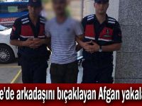 Gebze'de arkadaşını bıçaklayan Afgan yakalandı