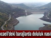 Kocaeli'deki barajlarda doluluk nasıl?