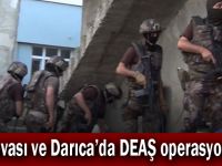 Dilovası ve Darıca'da DEAŞ operasyonu!