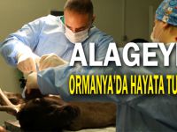 Alageyik, Ormanya’da hayata tutundu