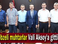 Gebzeli muhtarlar Vali Aksoy'a gittiler