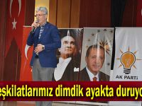 Ellibeş, "Teşkilatlarımız dimdik ayakta duruyor"