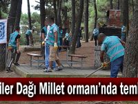 Gaziler Millet Dağı ormanı'nda temizlik