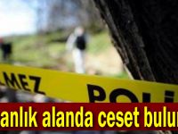 Ormanlık alanda ceset bulundu!