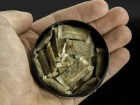 Kocaeli’de o zehirden çok fazla çıkmaya başladı!