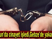 Giresun'da cinayet işledi,Gebze'de yakalandı!