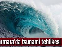 KOÜ’lü akademisyenden önemli uyarı; “Marmara'da tsunami tehlikesi var”