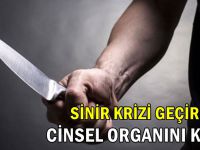 Sinir krizi geçirip, cinsel organını kesti